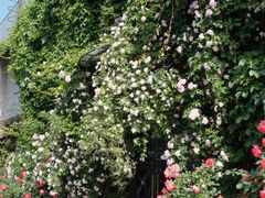 -元大都城垣遗址公园