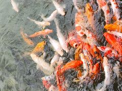 -龙凤山庄影视度假村