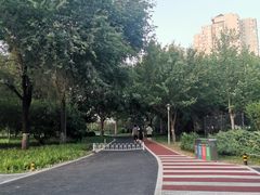 -望湖公园