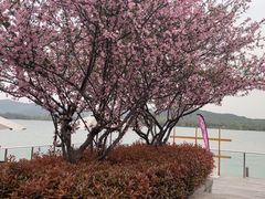 -望海·帆船主题咖啡厅•品茗下午茶(石湖景区店)