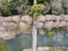 -上海滨江森林公园