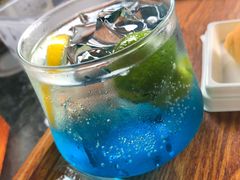 蓝柑苏打-柴犬高等学院·狗咖·柴犬售卖·宠物训练