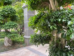 -南山植物园