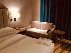 -圣爵菲斯大酒店(长沙世界之窗店)