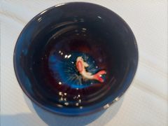 -桂满陇·杭州小馆(巴黎春天浦建店)