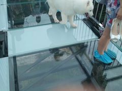 -梦幻奥陶纪景区