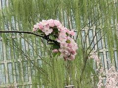 -海棠花溪(元大都城垣遗址公园)