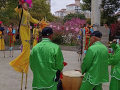 -南汇桃花村