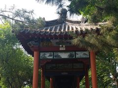 -杨家埠民间艺术大观园