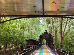 -合肥滨湖国家森林公园