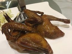 妙龄乳鸽-帝皇楼