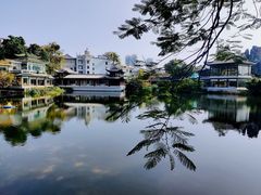 -荔湾湖公园