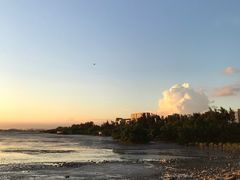 -宝安西湾红树林湿地公园