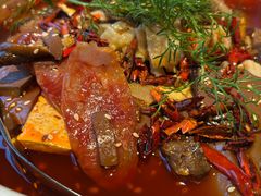 -洋洋中餐馆·SINCE 1997(信投店)
