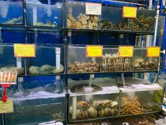 水产区-蚝专家(北滘店)
