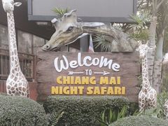 -清迈夜间动物园