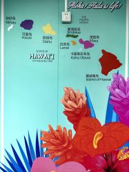 -呼拉汇舞蹈生活馆 Hawaii Hula&Tahiti Dance Studio