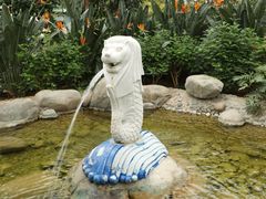 -南宫五洲植物乐园