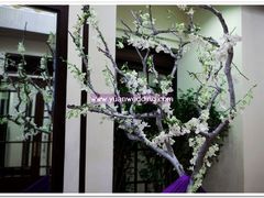 花园饭店婚礼布置 -- 缘味婚礼-上海花园饭店