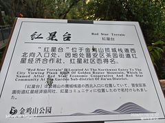 -金鸡山公园