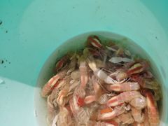 -东戴河风景区-止锚湾