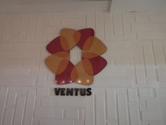 -ventus spa 沙巴亚庇正宗精油按摩会所