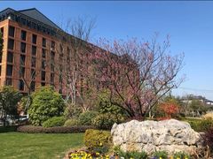 -魏家凉皮(协和店)