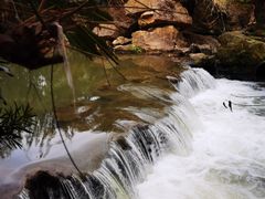 -白鹭湾湿地公园