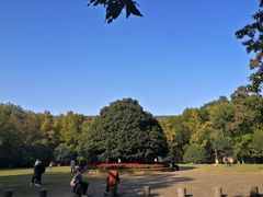 -灵谷景区