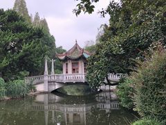 -叶家花园