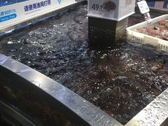 -盒马鲜生(莱蒙都会店)