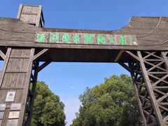 -溱湖国家湿地公园