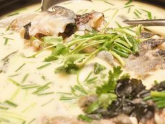 -饭怕鱼·黄焖鲟龙鱼(湖大店)