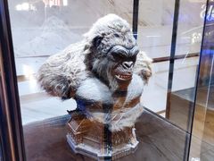 -英皇电影城(英皇集团中心IMAX店)
