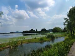 -渤公岛生态公园