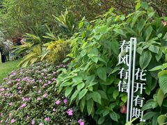 -云溪植物园