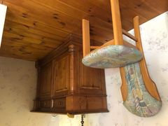 -金山农民画村-枫泾波兰倒置屋