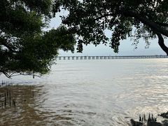 -宝安西湾红树林湿地公园