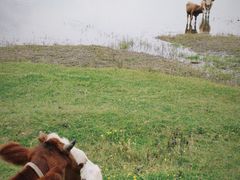 -玉湖村