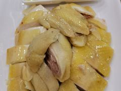 -巫记鸡饭店