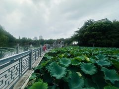 -包公祠