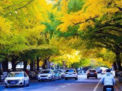 -辽东学院(南校区)