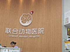 -联合动物医院(光谷诊疗中心)