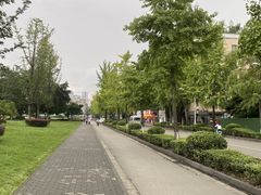 -四川大学(望江校区)