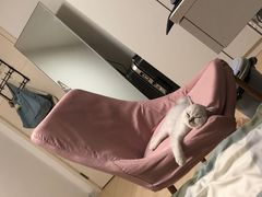 -美迦爱-动物医院·骨科·牙科·夜诊(朝阳路诊疗中心)