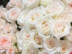 -循礼门鲜花花市(武汉循礼门店)