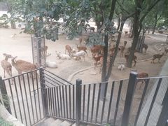 -石家庄市动物园