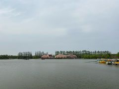 -上海长兴岛郊野公园