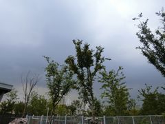 -上海浦江郊野公园·1号停车场