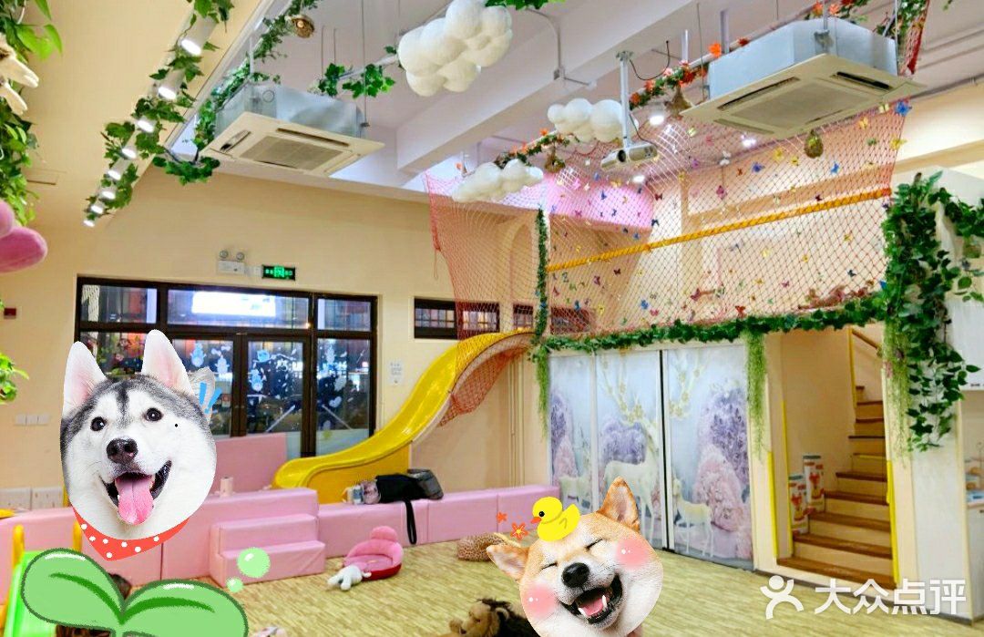 美好的一天，从带娃游泳开始~